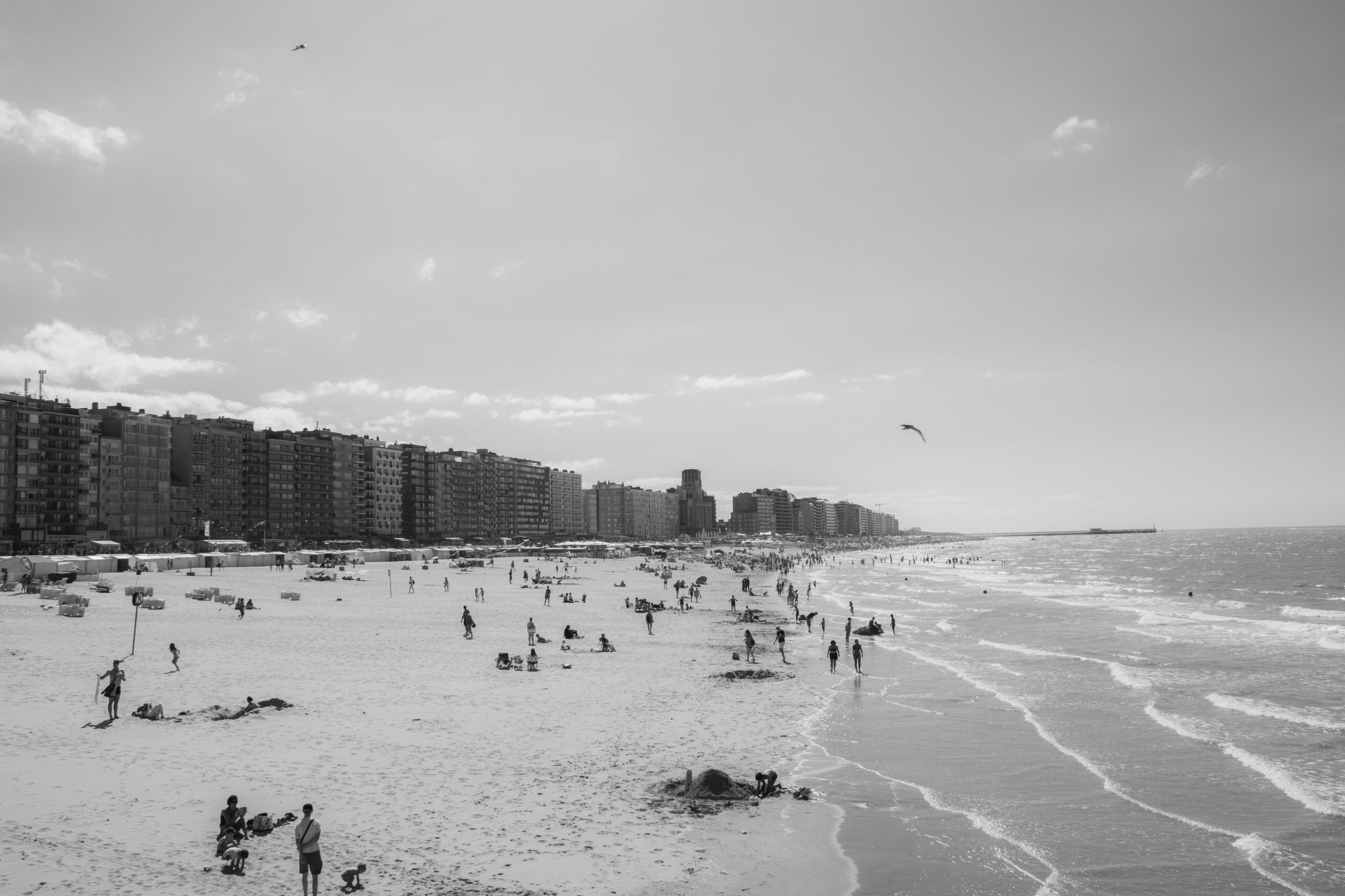 Plage Blankenberge-_MG_8146.jpg